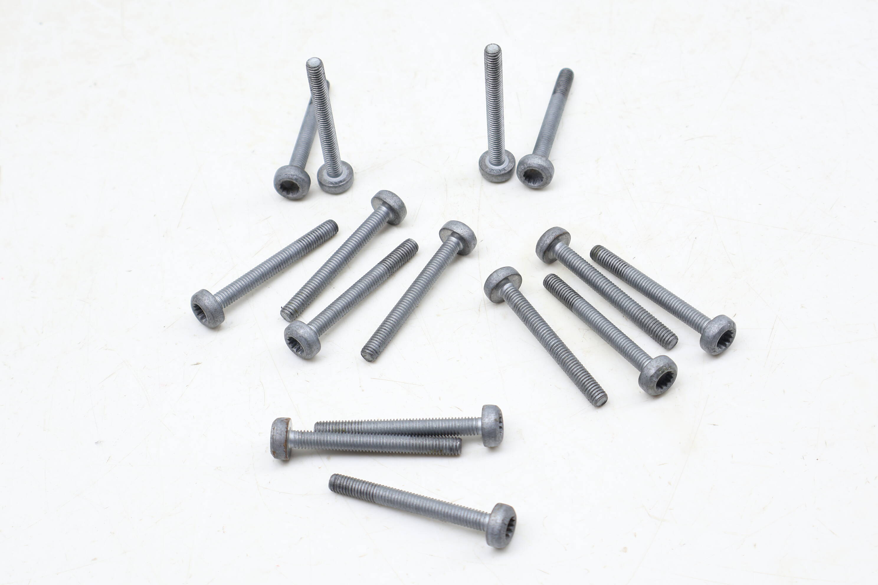 Engine Valve Cylinder Head Cover Screw / Bolt Set (15) N91254401