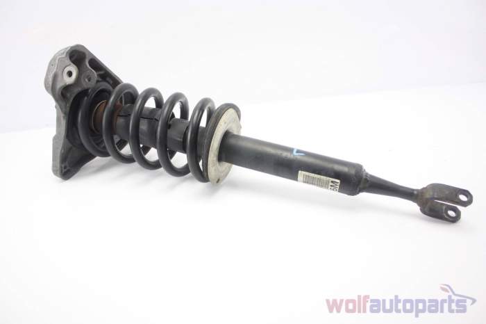 Spring / Strut Assembly 8E0413031CM main product photo