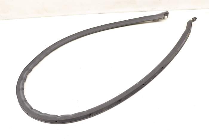 Lower Door Weather Stripping / Seal (Outer) 5GM839699B main product photo