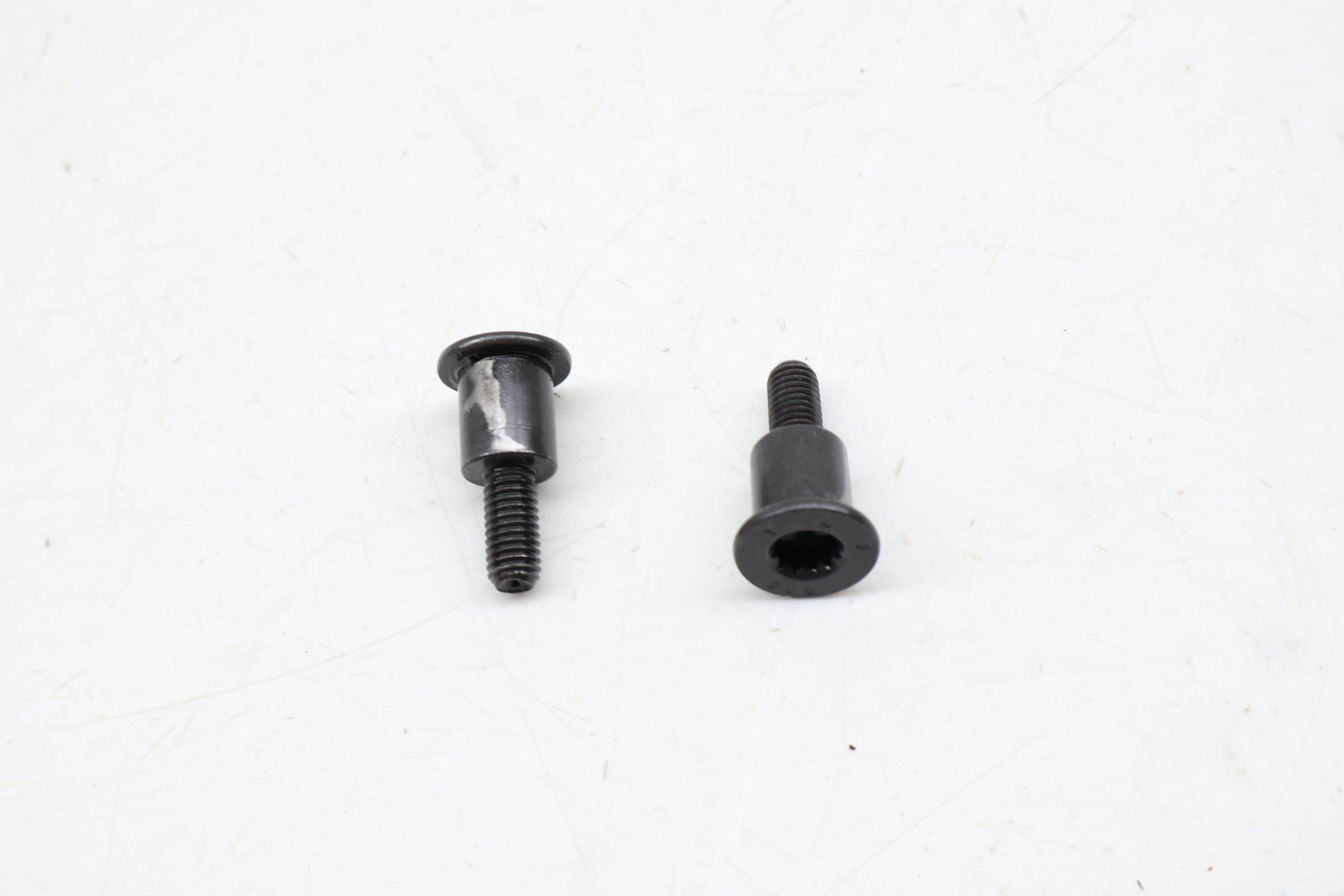 Torx Head Screw / Bolt Set (2) N91130301