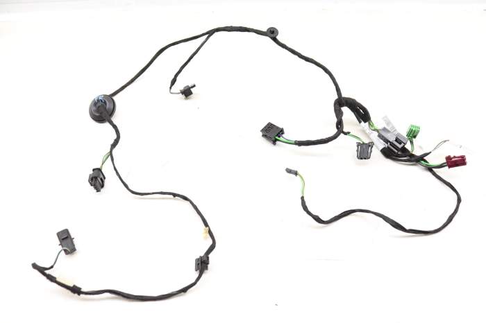 Door Wiring Harness 2465407314 main product photo