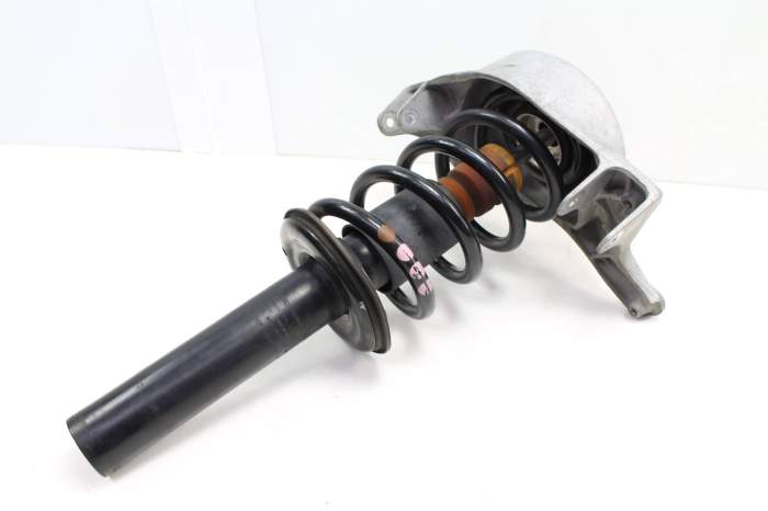 Strut / Shock Absorber Assembly 8R0413031F main product photo