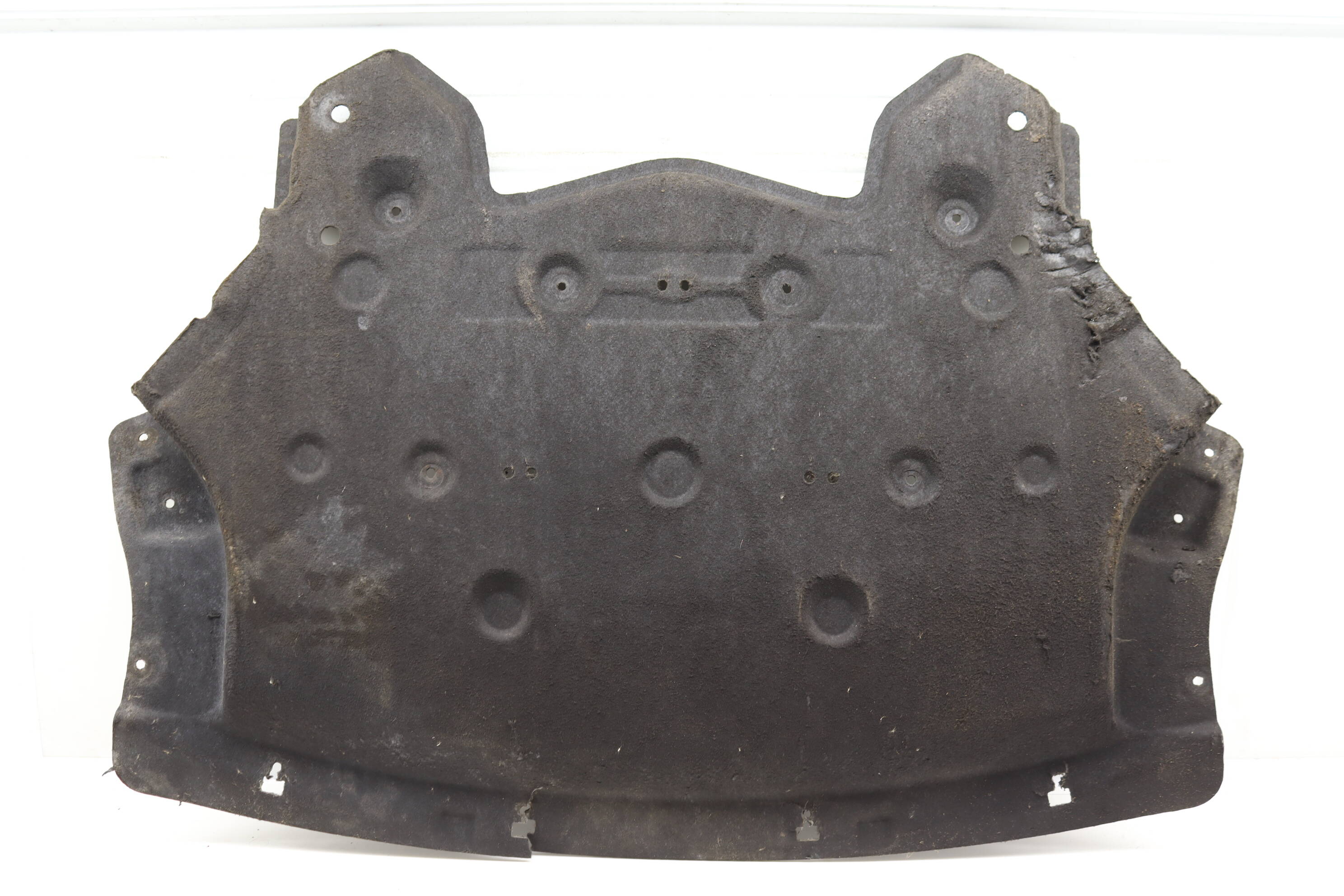 Engine Cover Panel 51757290659