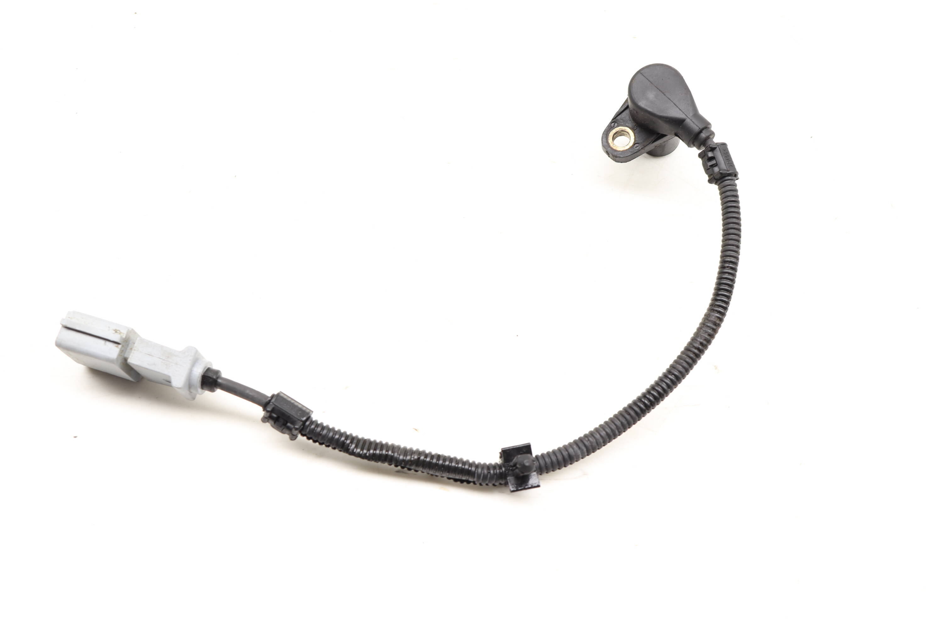 112f97dbafa5545b97869b4f38d266