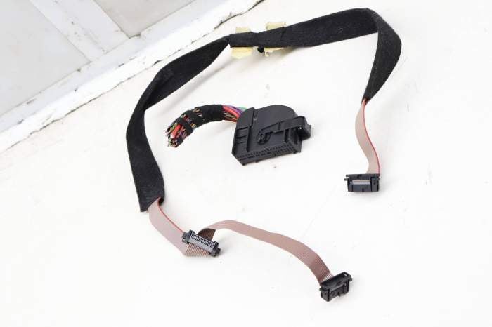 Cas3 Theft Locking Module Wiring Connector / Pigtail main product photo