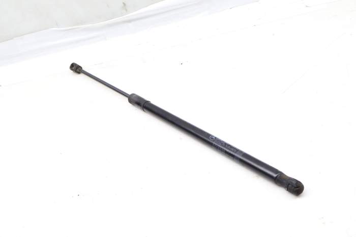 Hood Strut / Shock 1669802364 main product photo
