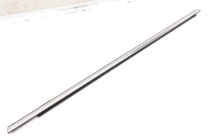 Outer Door Window Slot Seal / Trim 17A839476 main product photo