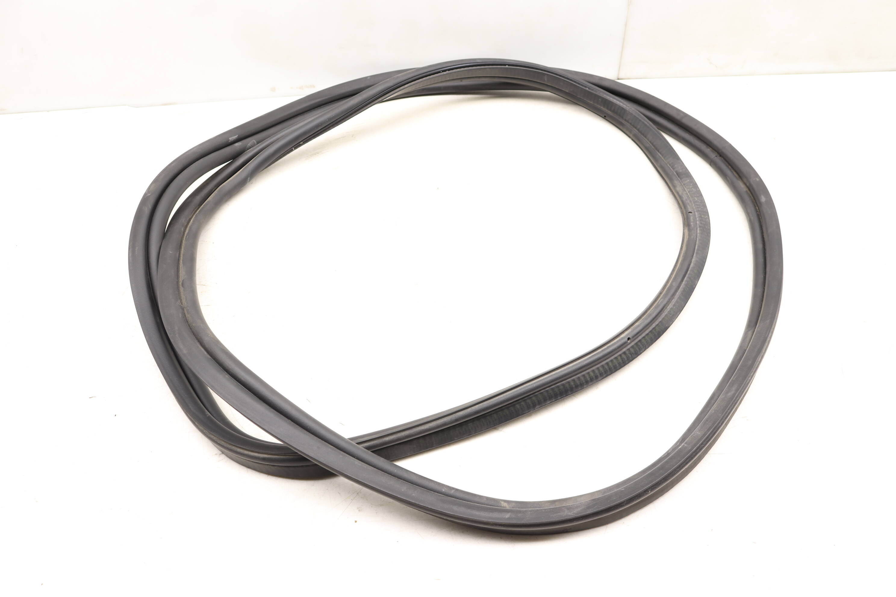 Trunk Seal / Weather Stripping 51767255635