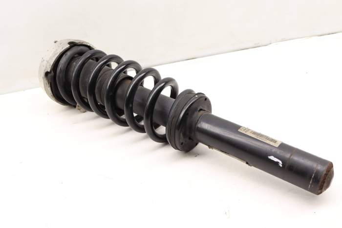 Strut / Spring Assembly 31316788780 main product photo