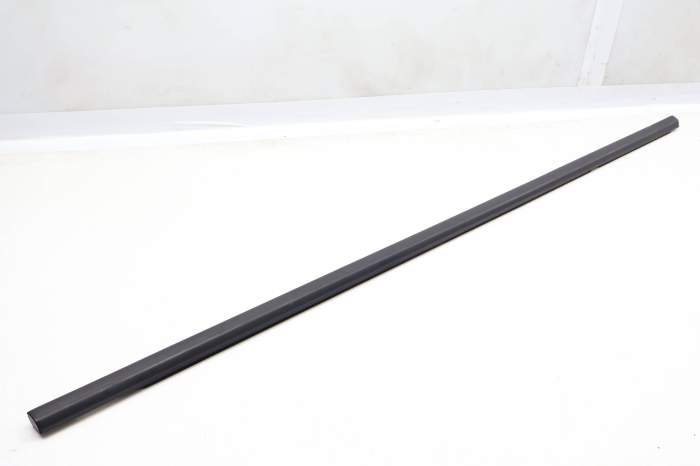 Outer Door Window Slot Seal / Trim 5NN839478 main product photo