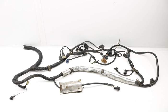 Engine Wiring Harness (Aes) 7D1971072KE main product photo