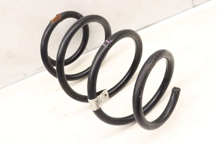 Coil Spring 31336872340 main product photo