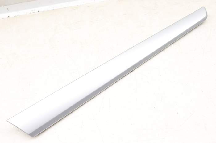 Door Panel Trim 561867420B main product photo