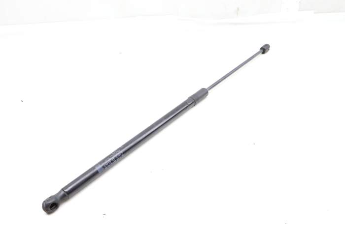 Hood Strut / Shock 1669802464 main product photo