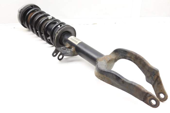 Strut Shock / Spring Assembly 31316852874 main product photo