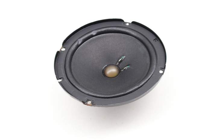 Door Speaker (Bose) 95564502201 main product photo