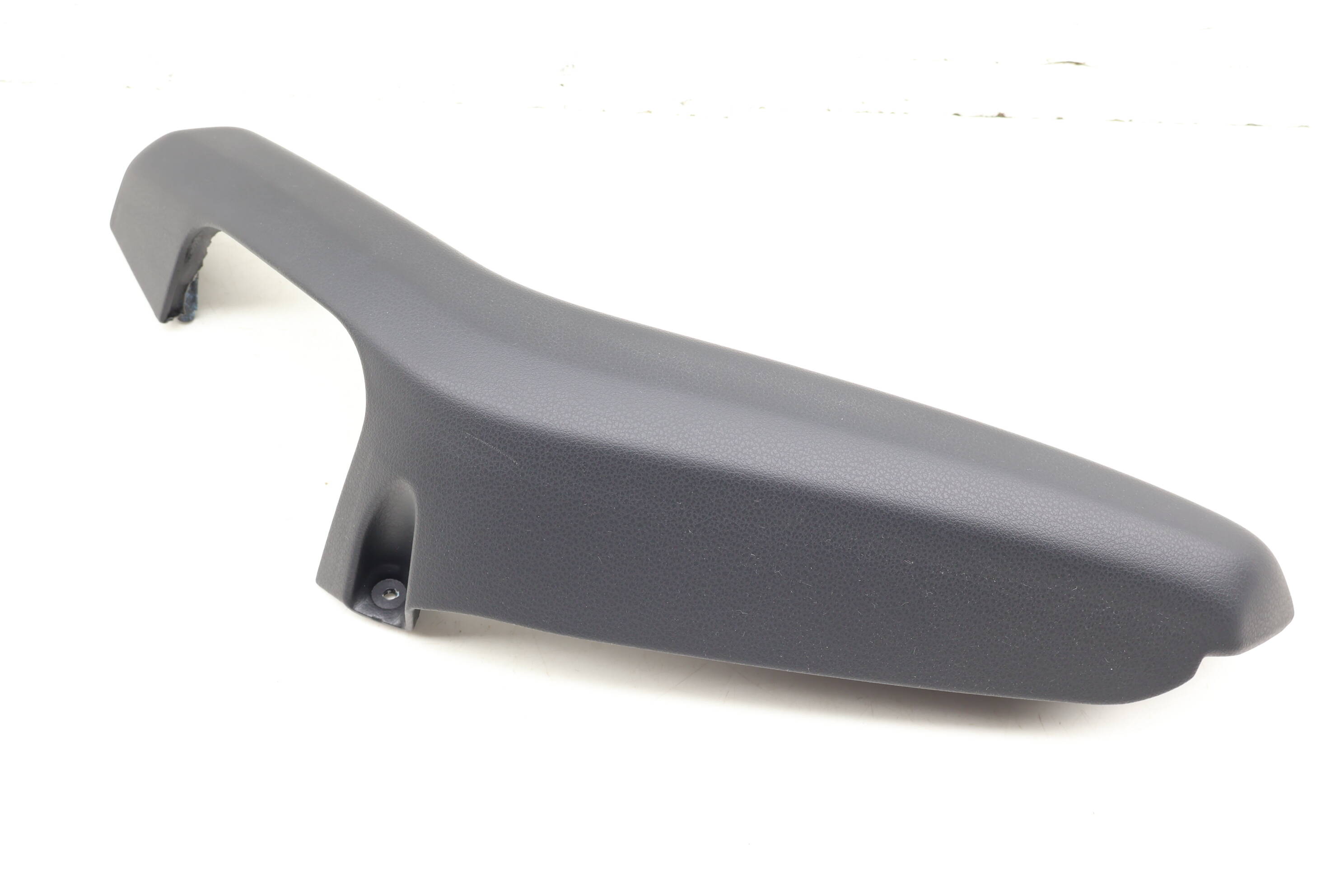 Door Pull Handle / Armrest 8R0867374