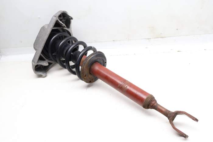 Sport Strut / Spring Assembly 4F0413031AN main product photo