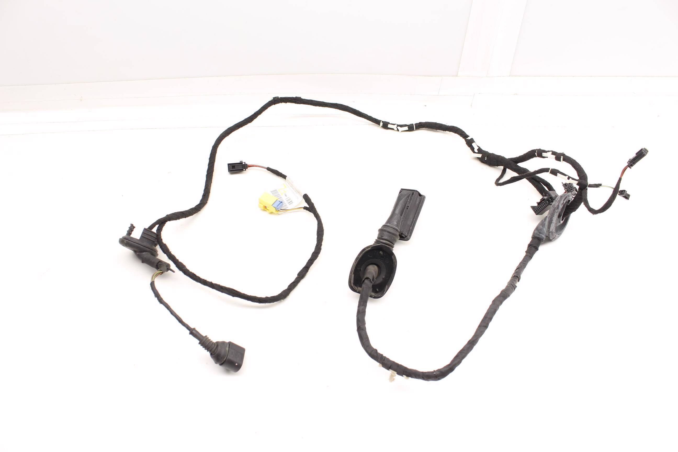 Door Wiring Harness 8R0971029AE