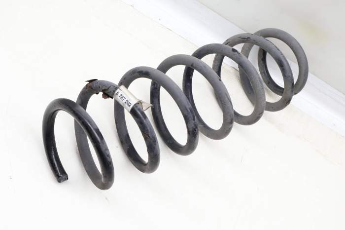 Coil Spring 33526787202 main product photo