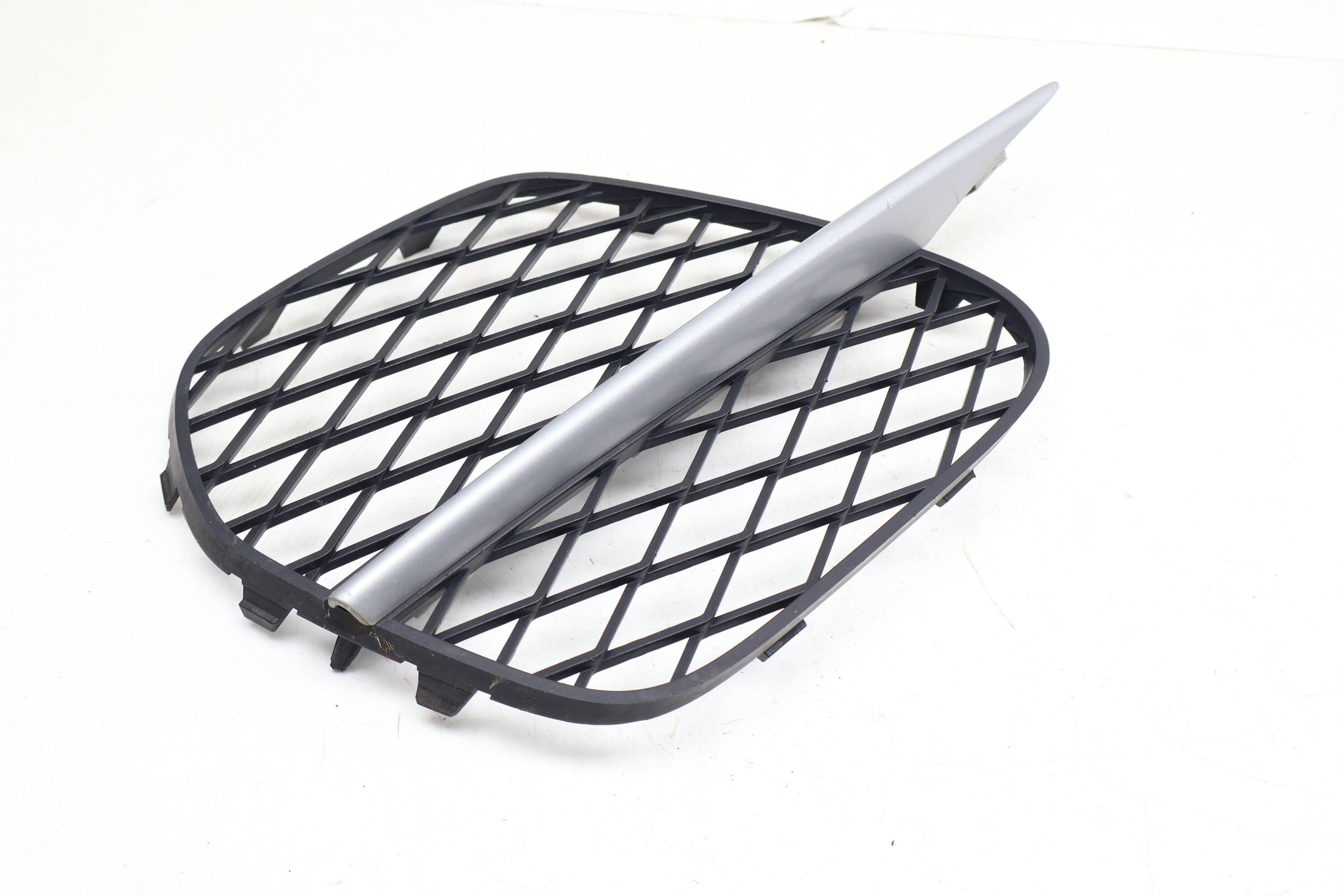 Outer Bumper Grille 51117222857