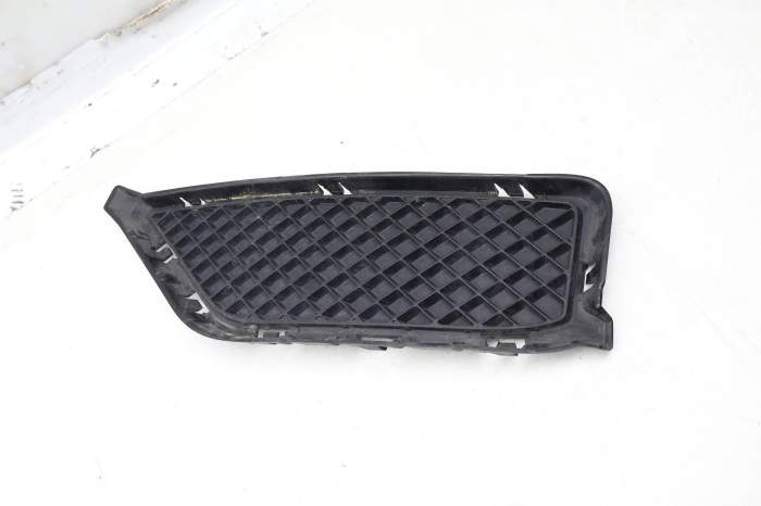 Bumper Grille 51117303755 main product photo