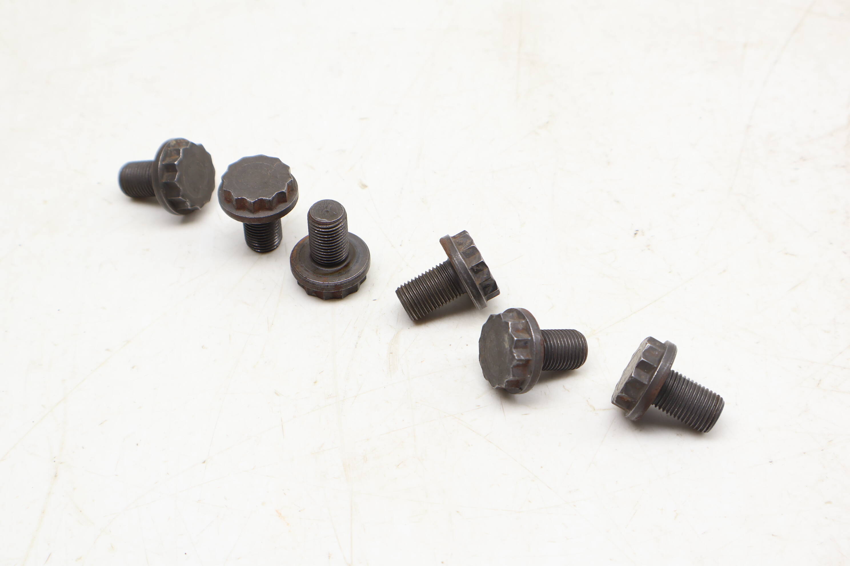 12 Point Screw / Bolt Set (6) N91143203