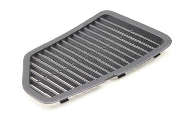 Inspection Cover / Grille 3CN867937