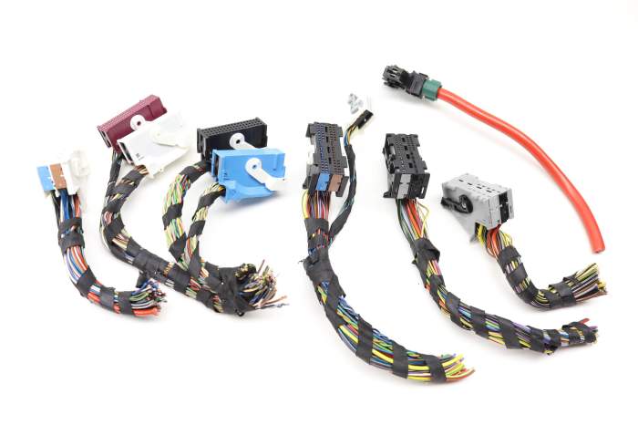 BMW Body Control Module / Bcm Wiring Connector / Pigtail