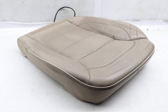 Lower Seat Bottom Cushion (Leather) 1669100746 main product photo