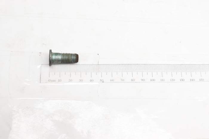 Brake Rotor Screw / Bolt N90571201 main product photo