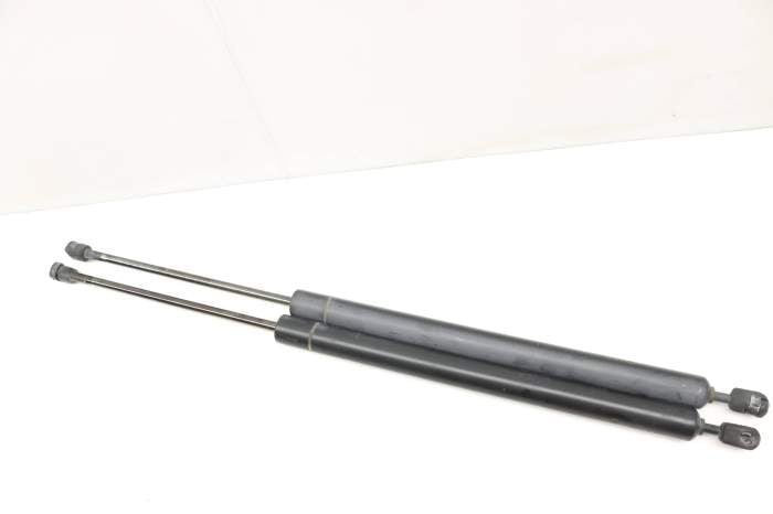 Hatch Strut / Shock Set 701829331S main product photo