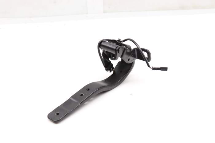 Trunk / Hatch Hinge 51247296773 main product photo