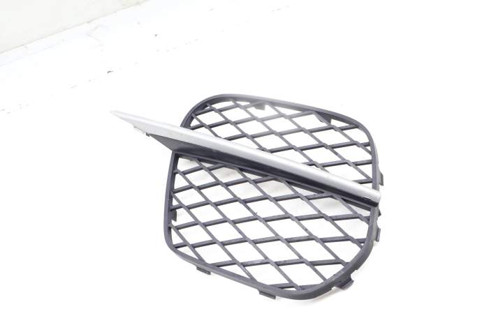Outer Bumper Grille 51117222857 main product photo