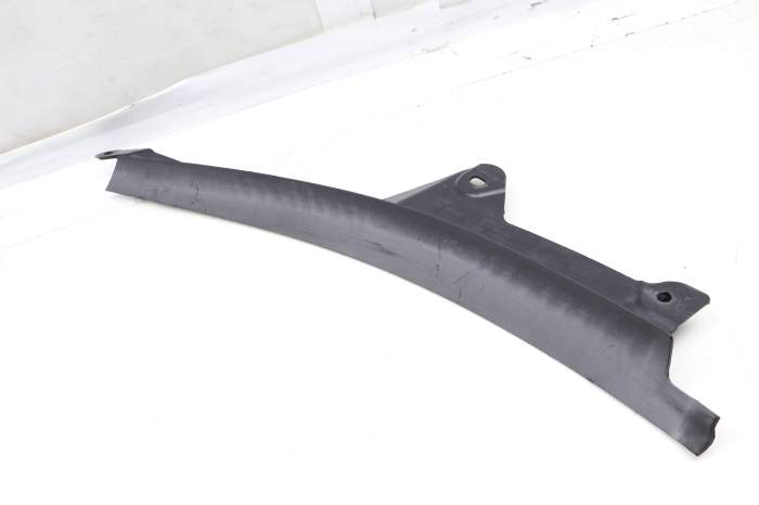 Windshield Cowl / Cover 51712993489 main product photo