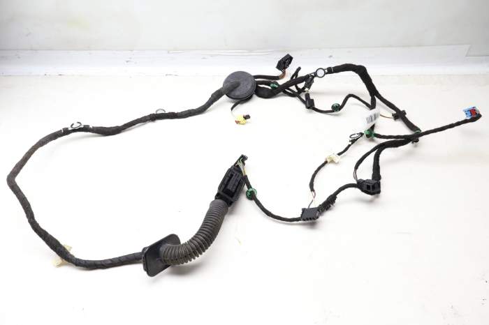 Door Wiring Harness 3CN971120AM main product photo
