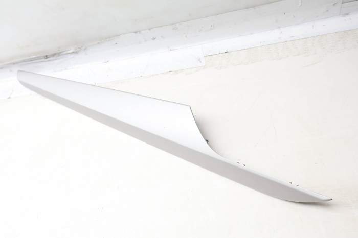 Door Panel Trim 51422991390 main product photo