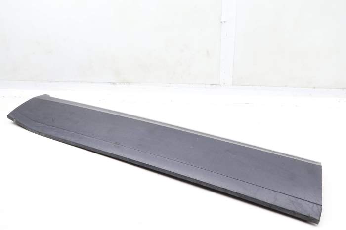 Lower Door Molding / Blade 3CN854939A main product photo