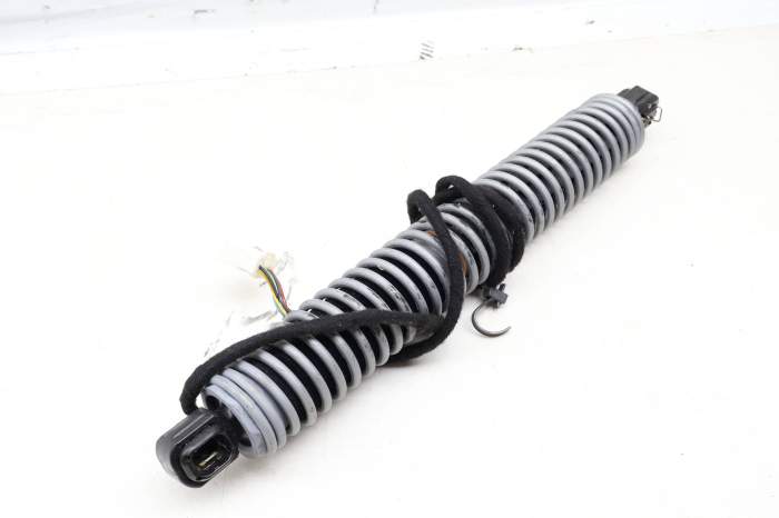 Trunk Lid Spring Motor / Drive Unit 51247120138 main product photo