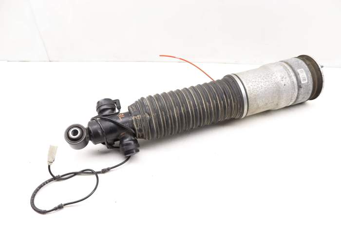BMW Rear Left Air Shock / Strut Assembly 37126858813 BMW Rear Left Air Shock / Strut Assembly 37126858813