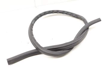 Cowl / Firewall Weather Stripping / Seal 3C0823723