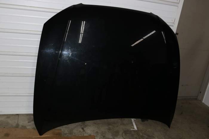 Hood 8T0823029D main product photo
