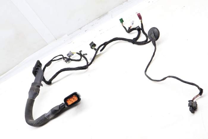 Door Wire / Wiring Harness 1664408132 main product photo
