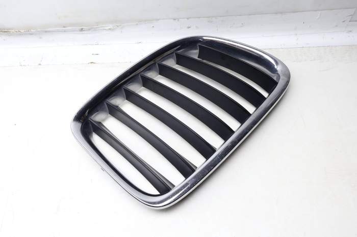 Hood / Kidney Grille 51117347667 main product photo