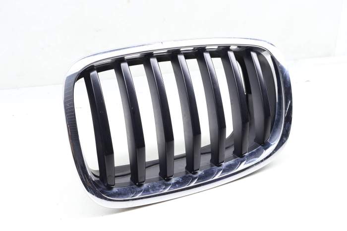 Hood / Kidney Grille 51137305591 main product photo