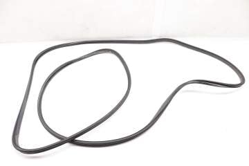 Sun Roof Seal / Gasket (Outer) 3G9877459