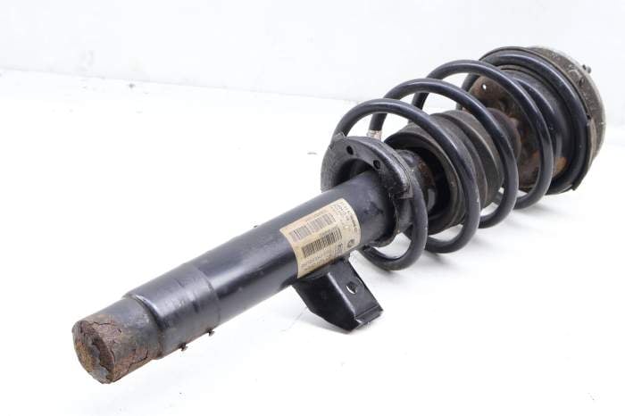 Strut Shock / Spring Assembly 31316796468 main product photo