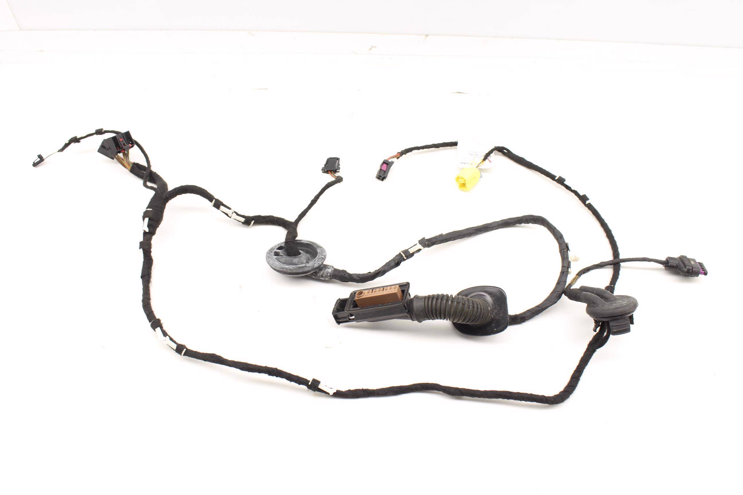 Door Wiring Harness 8R0971030BG