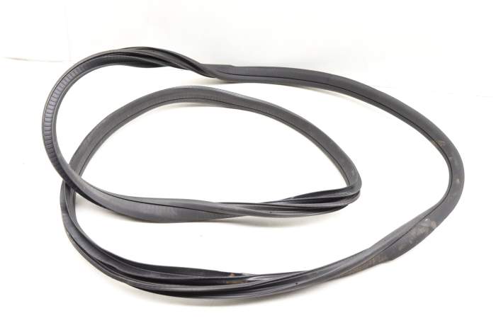 Outer Door Seal / Weather Stripping 1176920076 main product photo