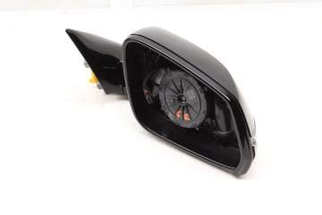 Side View Mirror 51167394138